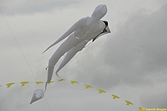 Venice kite festival_0321